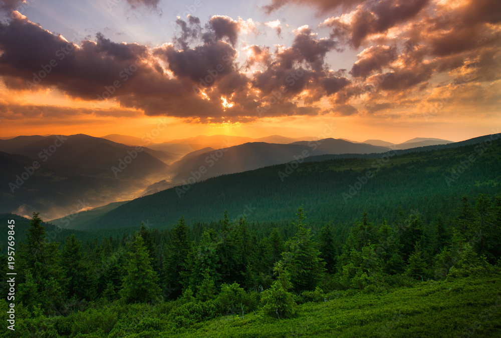 Dramatic sunset over mountains and green pine forest
