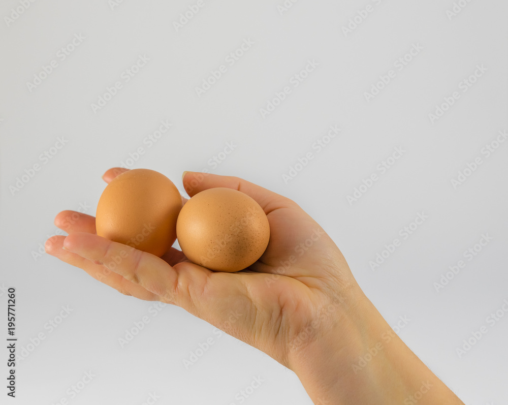 organic chicken eggs