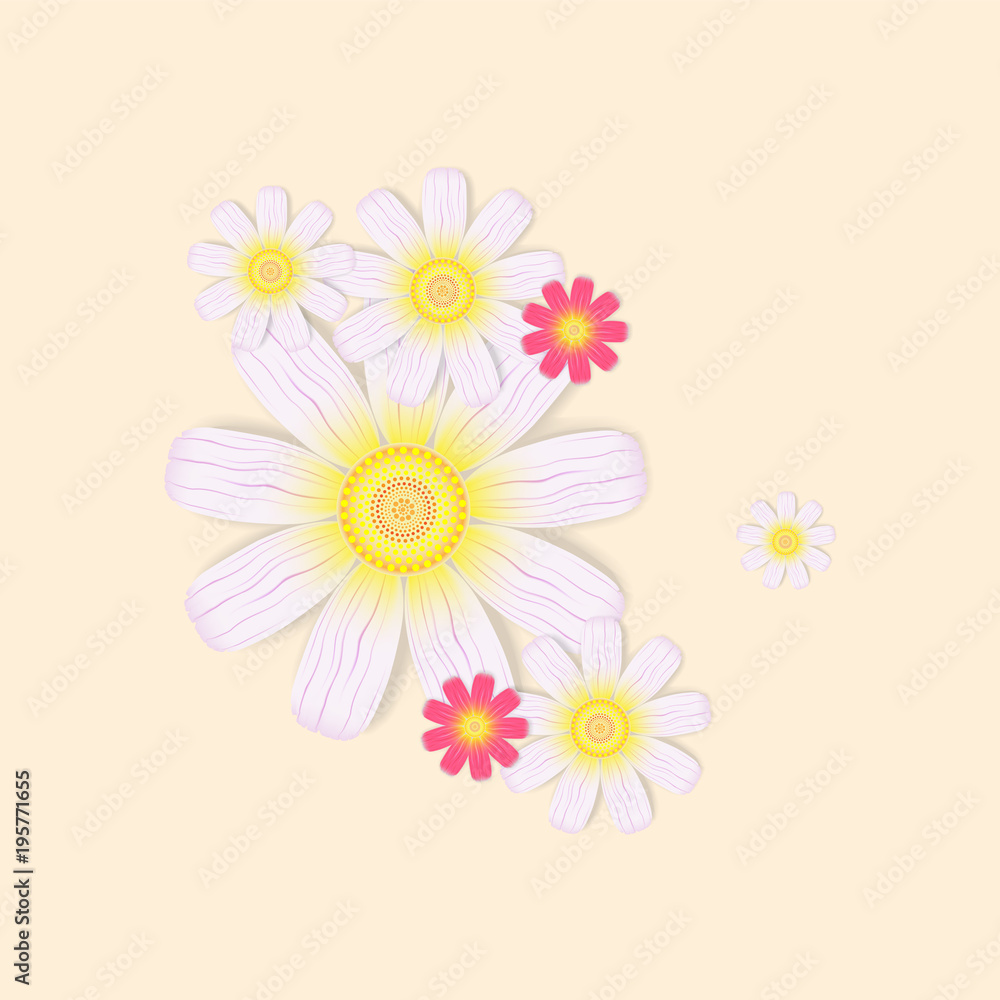 Delicate compositions of colors. Delicate compositions of colors.