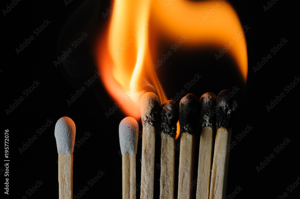 Grouped lit grey matchsticks in a row Grouped lit grey matchsticks in a row