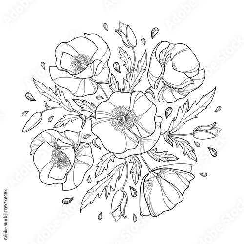 Vector round bouquet with outline Poppy flower bunch, bud and leaves in black isolated on white background. Ornate contour poppies for summer design and coloring book. Symbol of Remembrance Day.