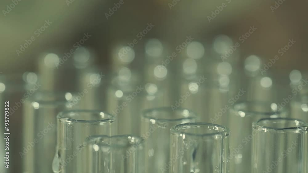 laboratory scientist working with a pipette analyzes and extract the DNA or molecules in the test tubes.on blue background
laboratory scientist working with a pipette analyzes and extract the DNA or molecules in the test tubes.on blue background