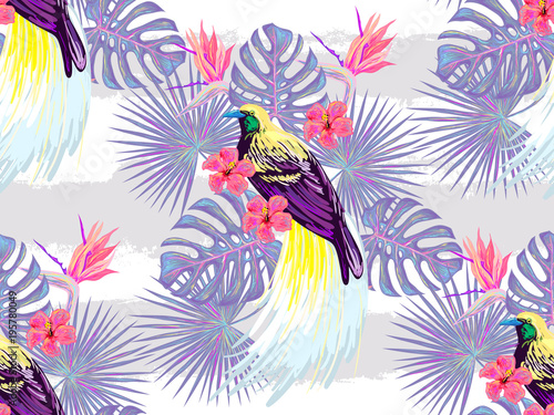 Seamless tropical pattern. Bird of paradise, tropical flowers, palm leaves, monstera, hibiscus flower, jungle leaf composition. Vector exotic plants botanical illustration. Summer design