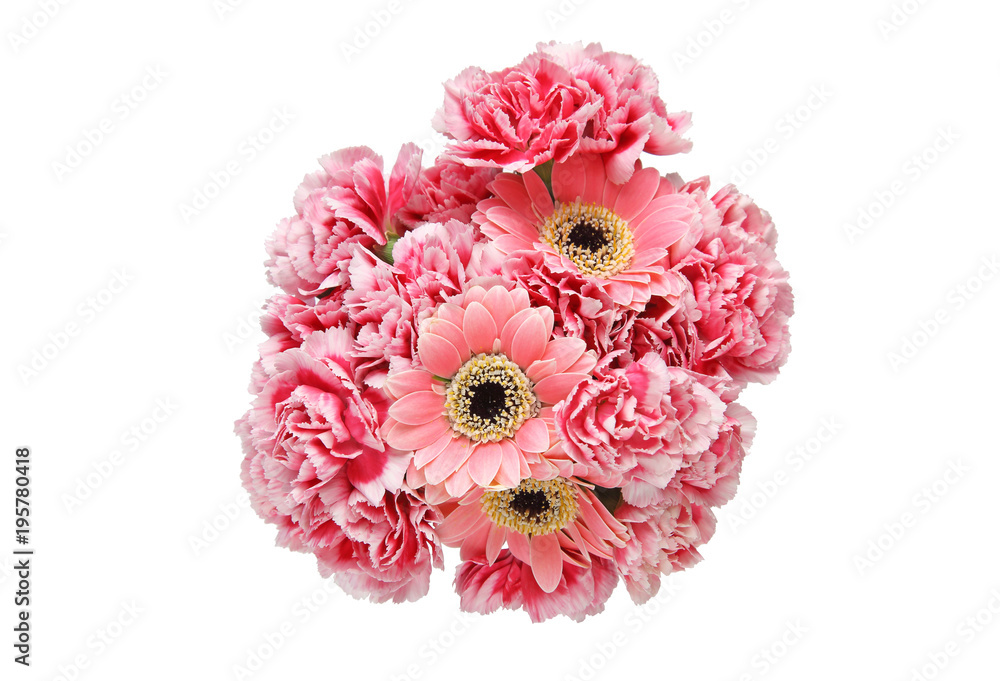 ガーベラとカーネーションの花束 Stock Photo Adobe Stock