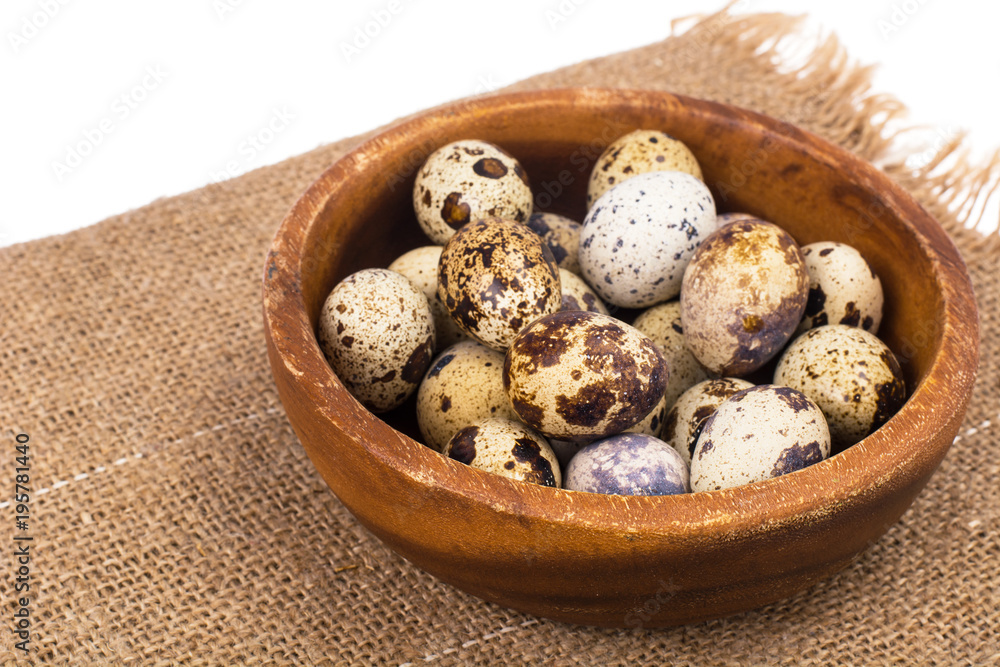Quail eggs motley coloring, concept of Easter Quail eggs motley coloring, concept of Easter