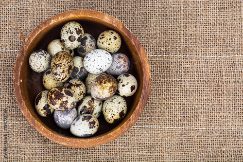 Quail eggs motley coloring, concept of Easter