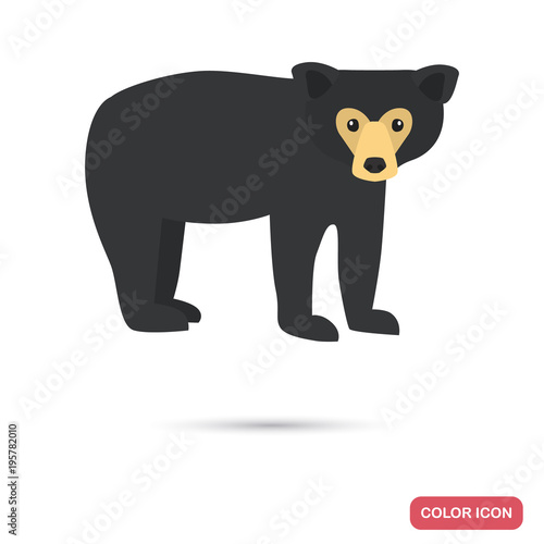 Malay bear color flat icon
