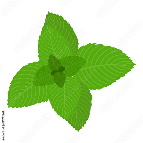 Mint icon, cartoon style