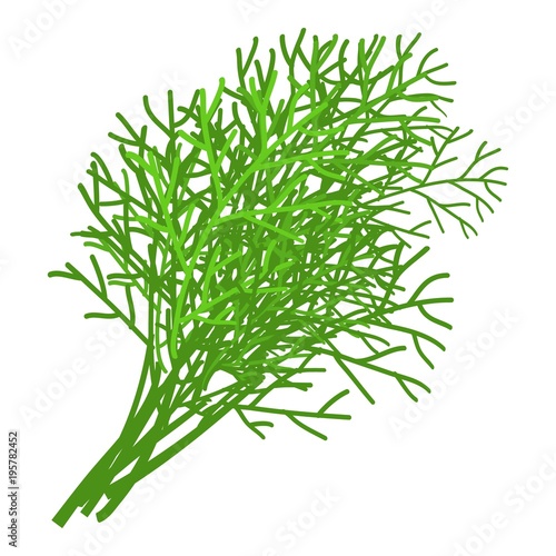 Dill icon, cartoon style