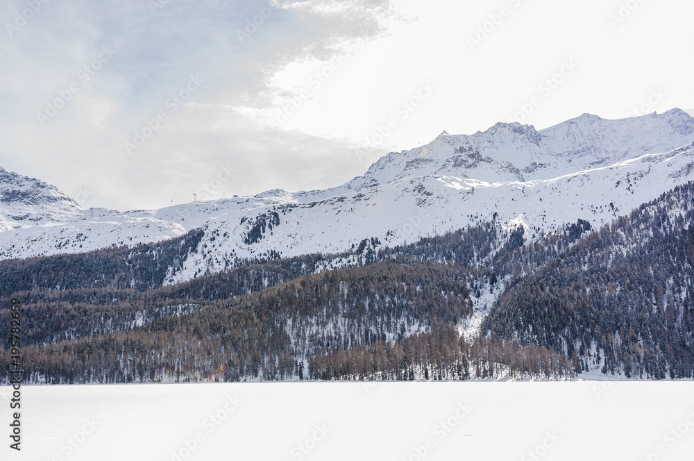 Silvaplana, Silvaplanersee, Piz Corvatsch, Bergbahn, Langlauf, Langlaufloipe, Winter, Wintersport, Alpen, Oberengadin, Graubünden, Schweiz