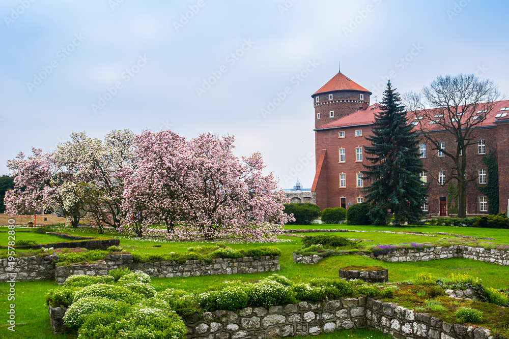 Obraz premium Historic royal Wawel castle in spring with blooming magnolias, Cracow/Krakow, Poland.