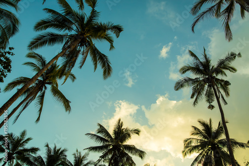 Siilhouettes of palm trees on the beautiful tropical sunset background.