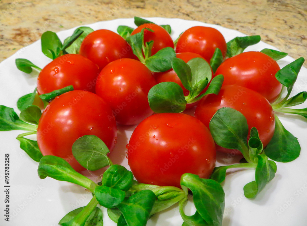 Lovely fresh small red tomatoes on a branch in the green. Lovely fresh small red tomatoes on a branch in the green.