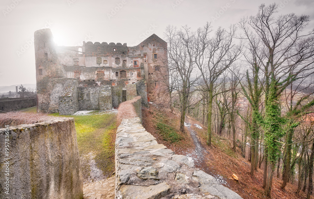Ruins of the medieval Bolkow Castle Ruins of the medieval Bolkow Castle