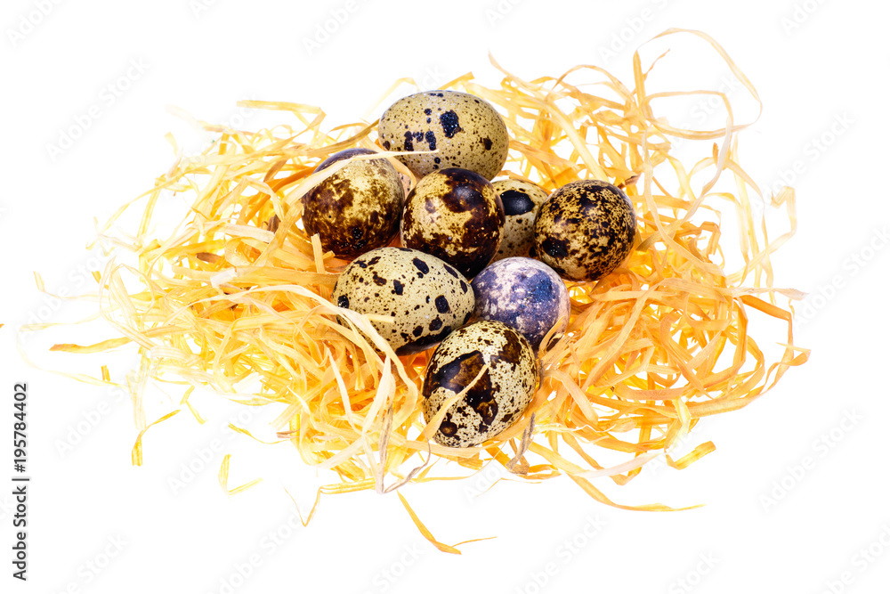 Obraz premium Symbols of the holiday Easter-nest, eggs, cookies