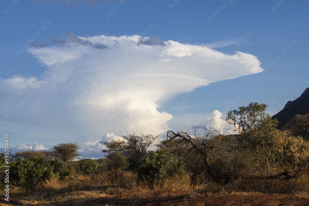 Tsavo West National Park in Kenya Tsavo West National Park in Kenya
