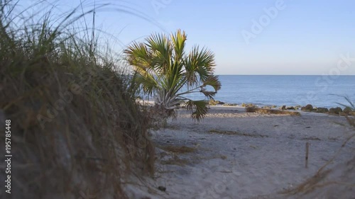 leaning Palm tree at a rocky Caspersen beach Florida