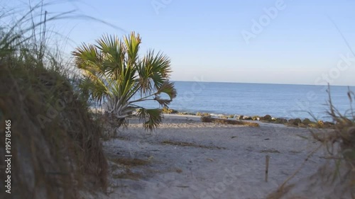 leaning Palm tree at a rocky Caspersen beach Florida