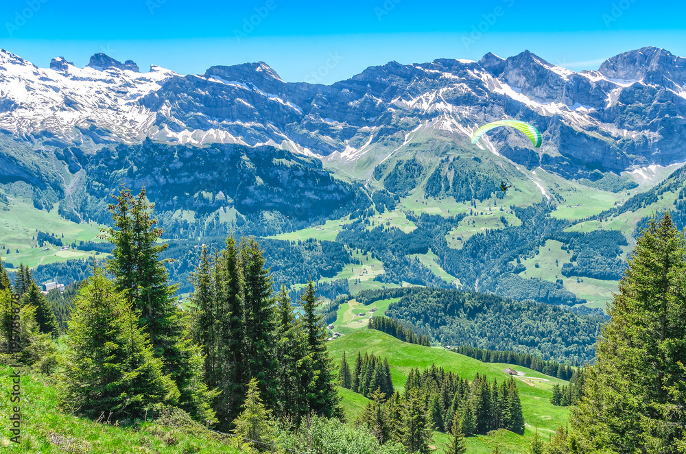 Naklejka premium Swiss alps in the summer season. Panorama of a picturesque mountain, alpine landscape and a paraglider in flight above the ridge. Resort Engelberg, Switzerland