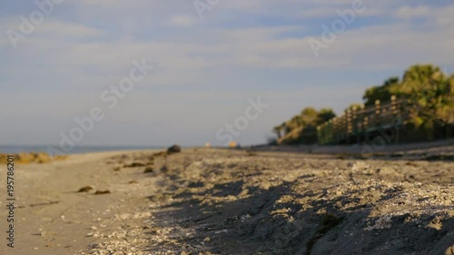 Beach with Shells,