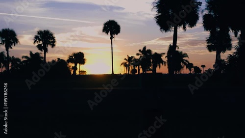 Sunrise Palm tree Silhouette 
