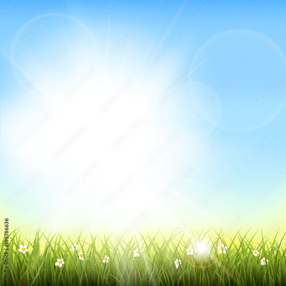 Sunny natural background with vector sun and grass.