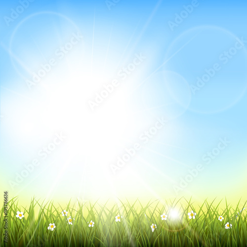 Sunny natural background with vector sun and grass.