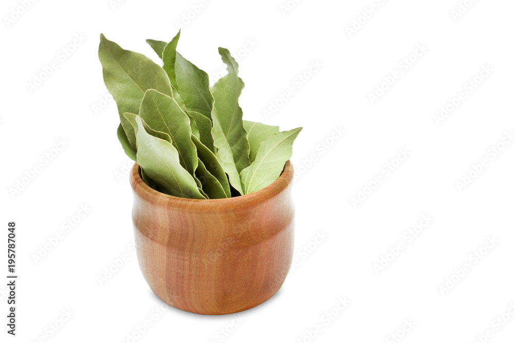 Dried aromatic bay leaves in a wooden bowl isolated on white. Photo of laurel bay harvest for eco cookery business. Antioxidant kitchen herbs. Spices of bay leaf in rural style.