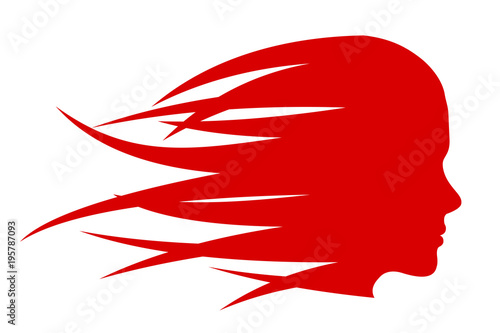 Hair girl fast in the wind – for stock