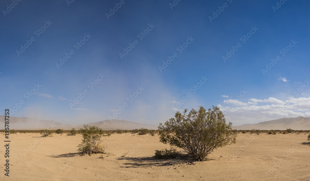 Stretch of brush grows across sandy expanse of desert in the Mojave of California. Stretch of brush grows across sandy expanse of desert in the Mojave of California.