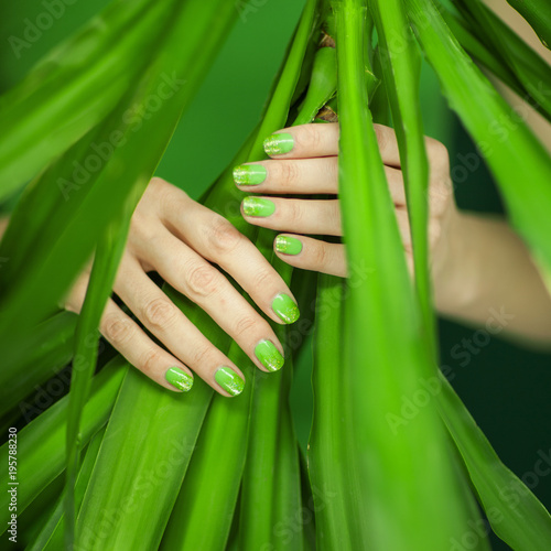 woman in green shirt hands holding some tropical leaves, sensual studio shot can be used as background photo