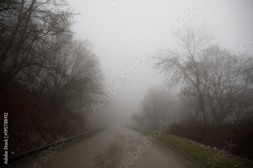 Landscape with beautiful fog in forest on hill or Trail through a mysterious winter forest with autumn leaves on the ground. Road through a winter forest. Magical atmosphere. Azerbaijan