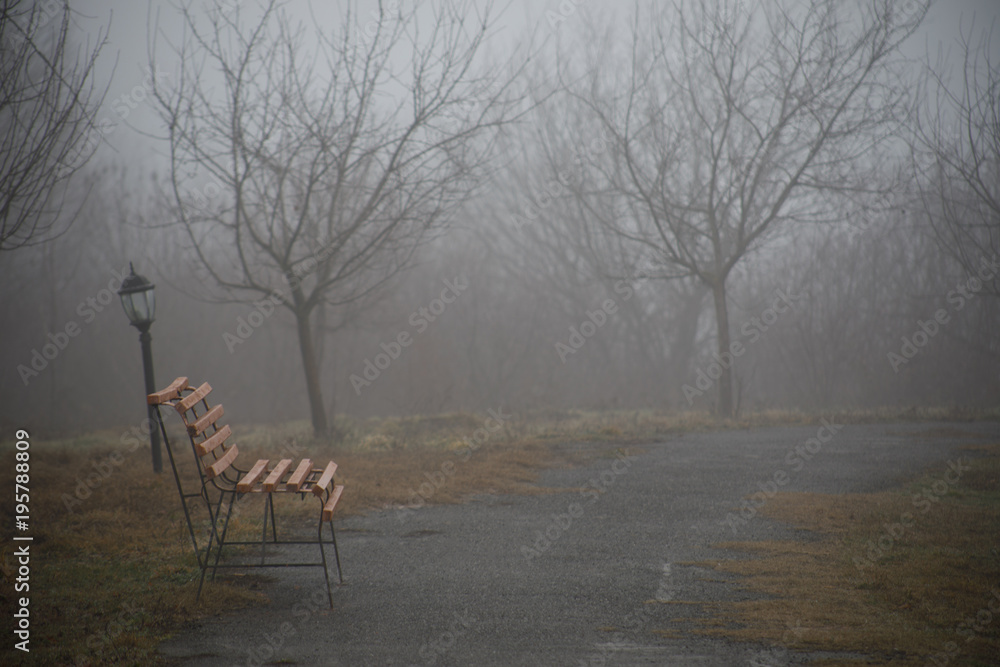 Empty bench at park near pond by foggy day, minimalistic cold season scene. bench at the lake in the fog in the forest. Bench near lake with fog. Azerbaijan Nature.