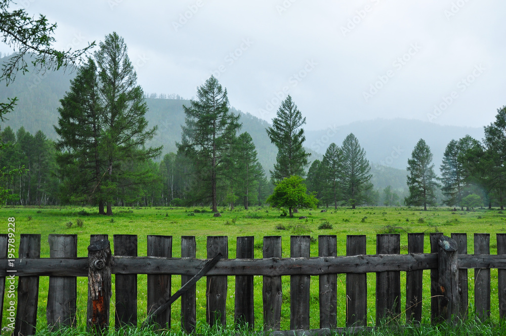 Forest and foggy mountains behind an old wooden fence. Altai, Russia
