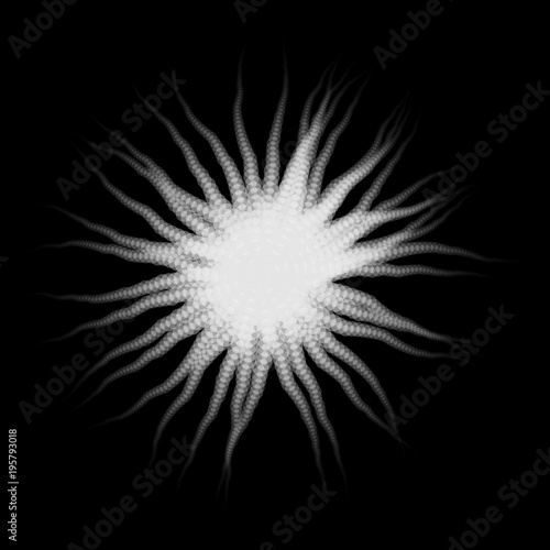 Vector White Round Radial Ophiura Creature with Tentacles isolated on Black - Generative Art  

