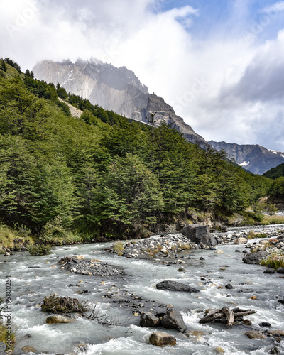 River flows along the Valle Asencio near Refugio Chileno in Torres del Paine National Park, Patagonia, Chile