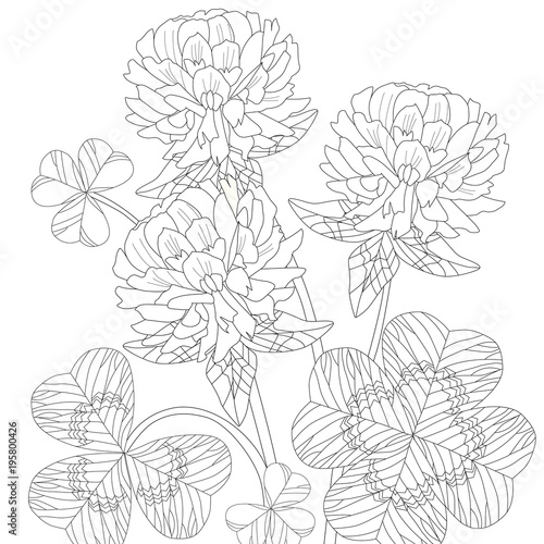 Zentangle stylized clover. Hand Drawn lace vector illustration