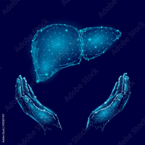 World Hepatitis Day awareness 28 July liver health. Medicine low poly model human organ hand hold polygonal geometric vector illustration