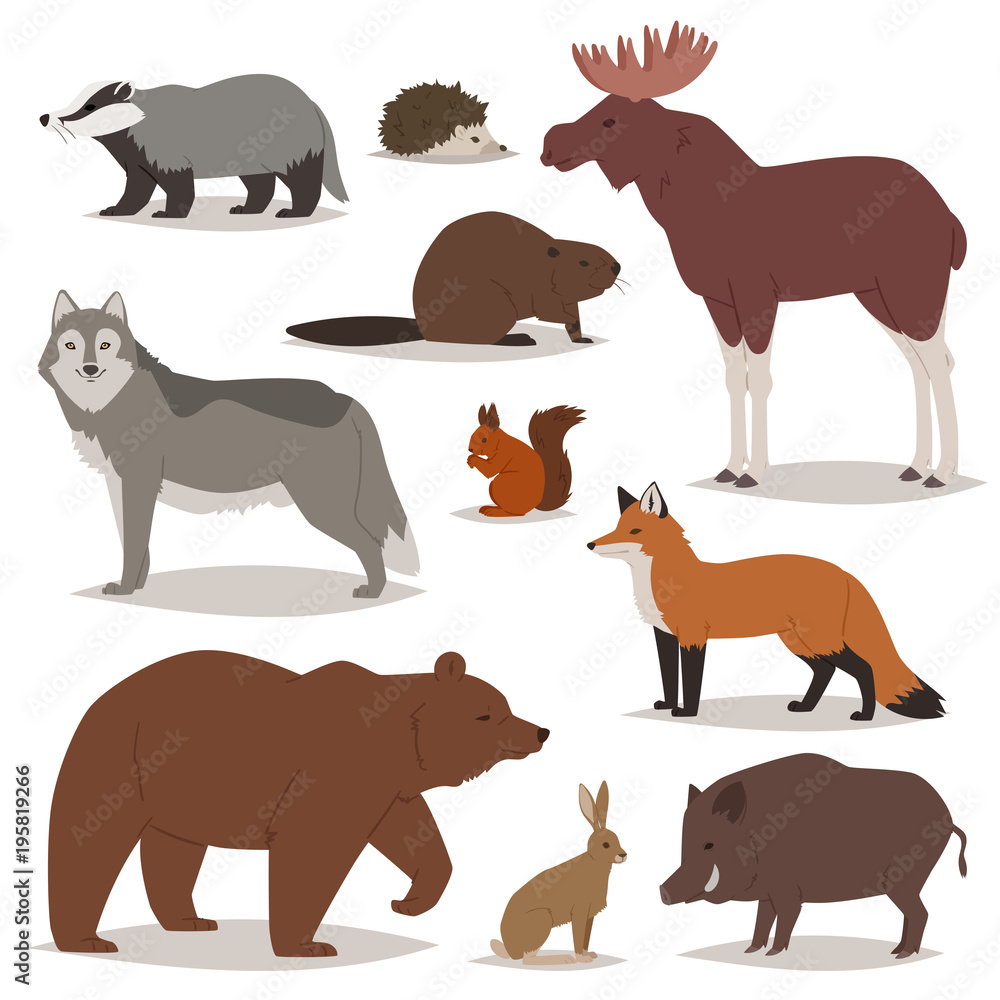 Forest animals vector cartoon animalistic characters bear fox and wild wolf or boar in woodland illustration set of elk hedgehog and squirrel isolated on white background Forest animals vector cartoon animalistic characters bear fox and wild wolf or boar in woodland illustration set of elk hedgehog and squirrel isolated on white background