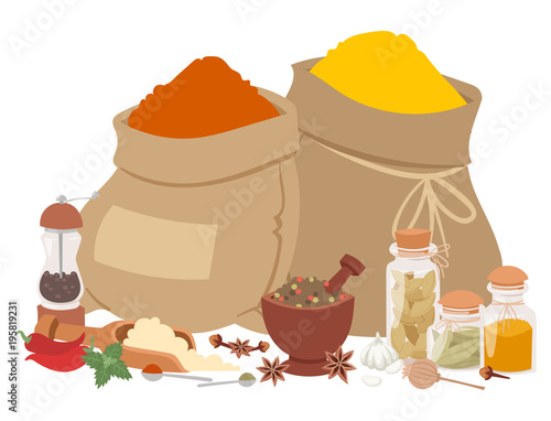 Seasoning food herbs natural healthy spices condiments organic vegetable vector ingredient.