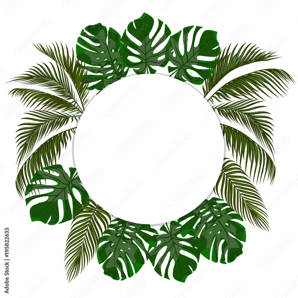 Green leaves of tropical palms in a circle. Monster, agave. Place for announcement, advertising. Isolated on white background. illustration