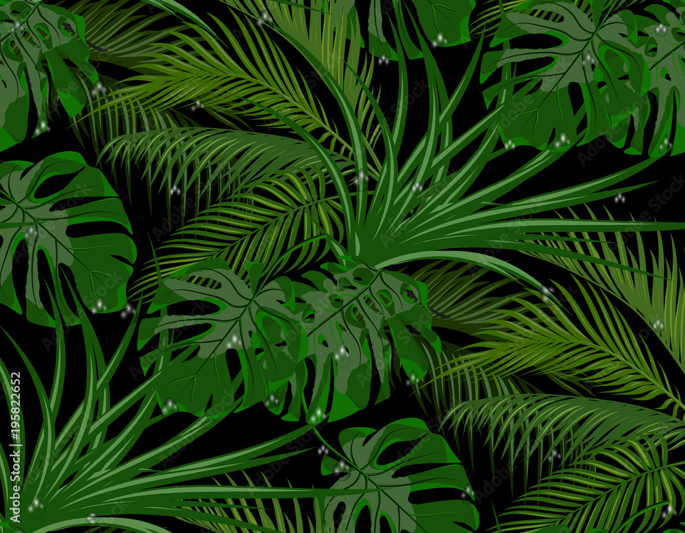 Jungle. Green leaves of tropical palm trees, monsters, agave. Drops of dew, rain.. Isolated on white background. illustration Jungle. Green leaves of tropical palm trees, monsters, agave. Drops of dew, rain.. Isolated on white background. illustration