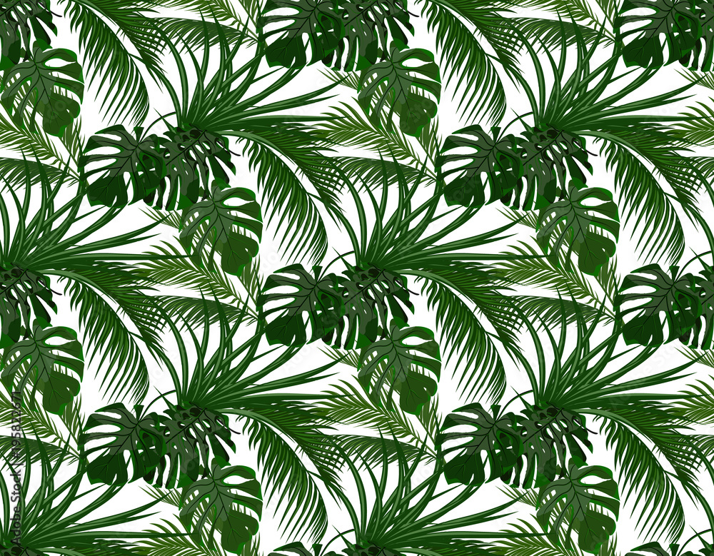 Jungle. Green leaves of tropical palm trees, monstera, agave. Seamless. Isolated on white background. illustration Jungle. Green leaves of tropical palm trees, monstera, agave. Seamless. Isolated on white background. illustration