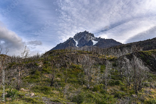 Mountain peaks and forests of burnt Lenga trees in the Cordon Olguin, Torres del Paine National Park, Patagonia, Chile