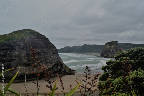 Piha beach, New Zealand