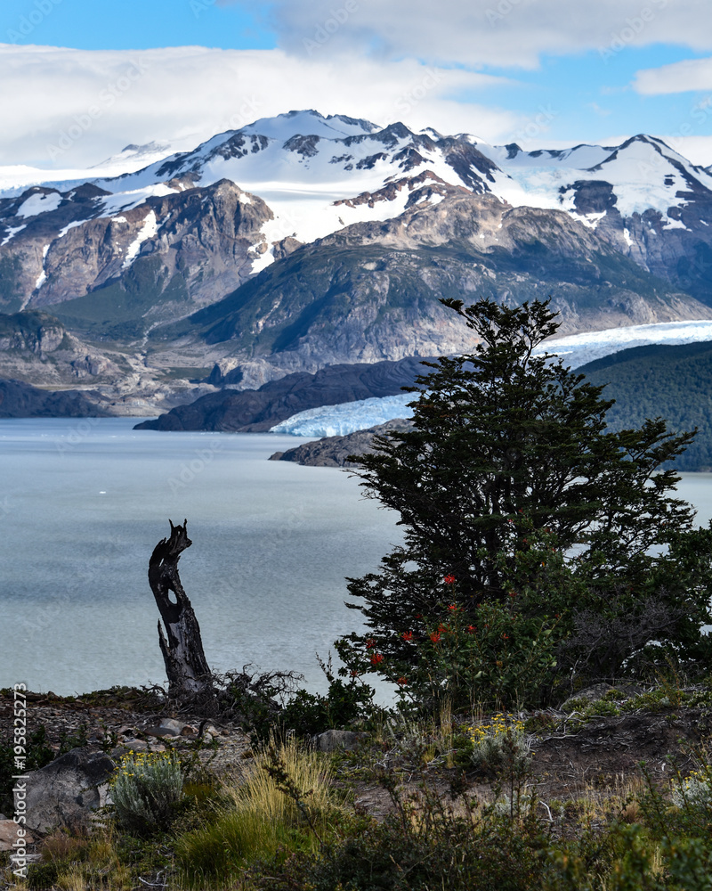Lake Grey and the Grey Glacier in the Southern Patagonian Ice field, Torres del Paine National Park, Chile