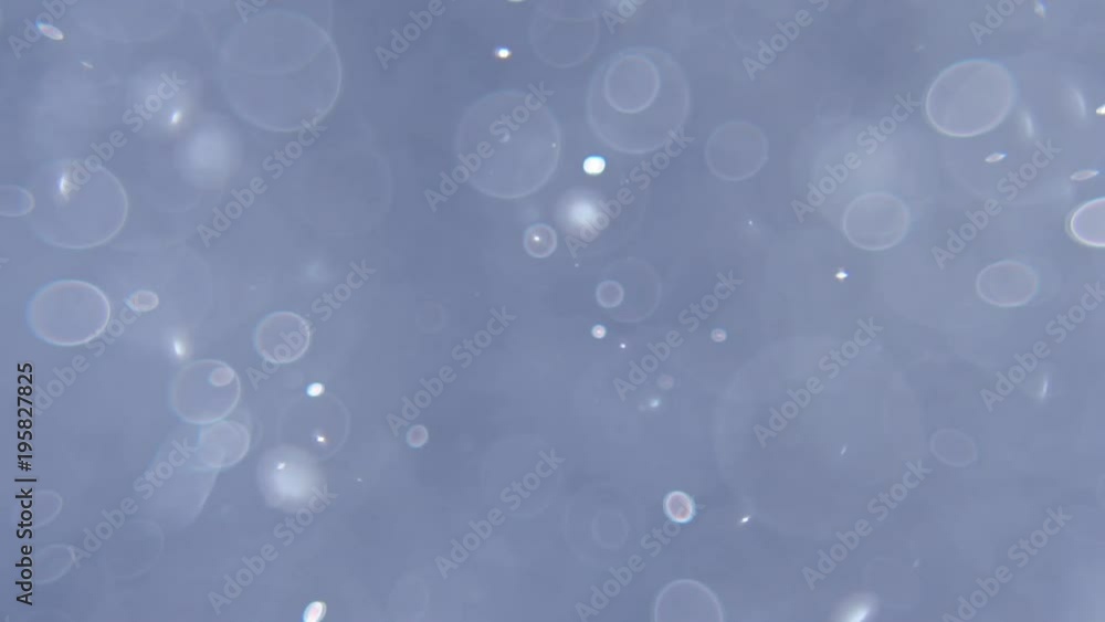 Slow motion close up shot of the tiny air bubbles in the aquarium. blue abstract lights bokeh. Slow motion close up shot of the tiny air bubbles in the aquarium. blue abstract lights bokeh.