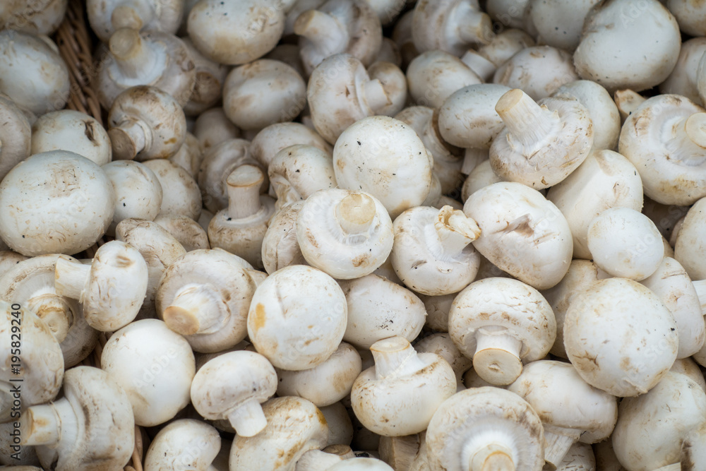 champignons on the market