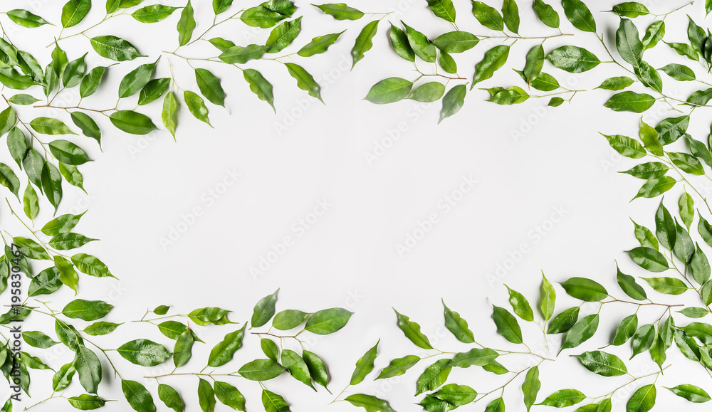 Pretty Frame made of green branches and leaves on white background. Flat lay, top view, horizontal, banner Pretty Frame made of green branches and leaves on white background. Flat lay, top view, horizontal, banner