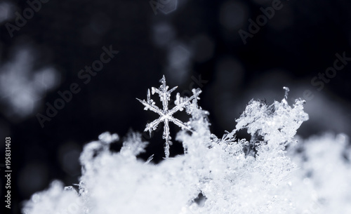 snowflake on snow, snow